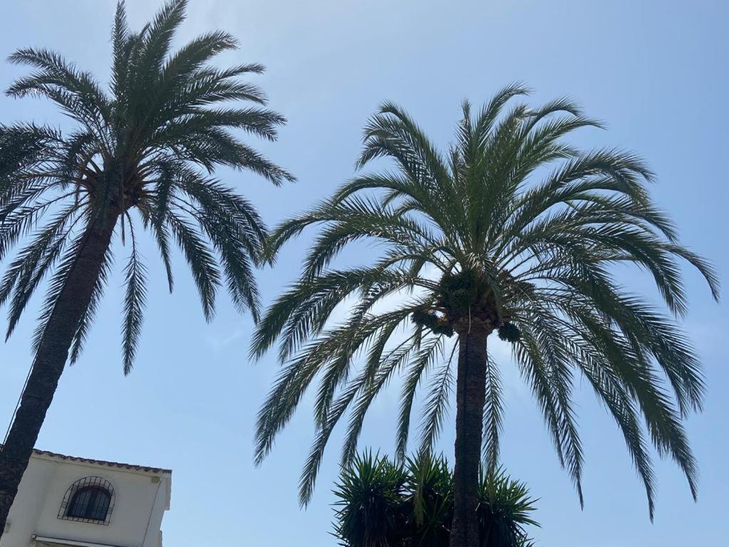 Apartamento Urb Oasis Park II Denia, Las Marinas Buitenkant foto